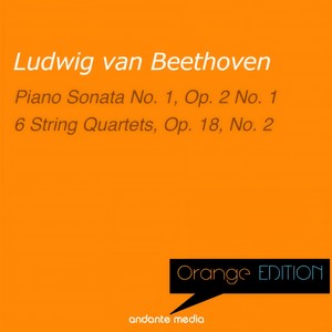 Piano Sonata No. 1 in F Minor, Op. 2 No. 1 - II. Adagio