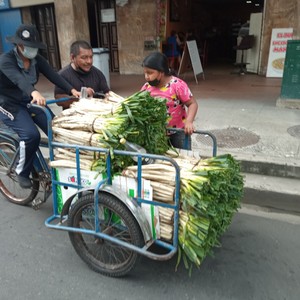 Somos minoría (Version Acústica)