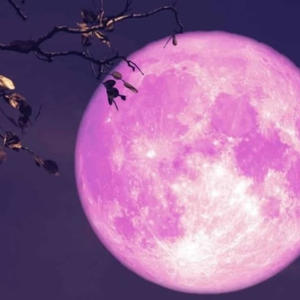 TRAPPIN IN THE BANDO (Explicit)