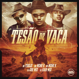 Mc Fidelis - Tesão de Vaca (Explicit)