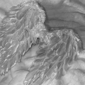 Dark Horse (TikTok) (Remix)