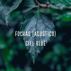 Folhas (Acústico)