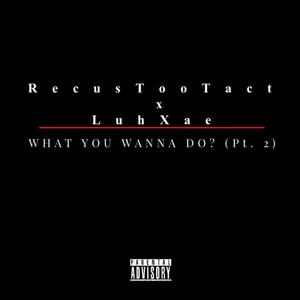 What you wanna do? (PT 2) (feat. RecusTooTact) [Explicit]