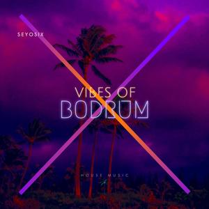 Vibes Of Bodrum