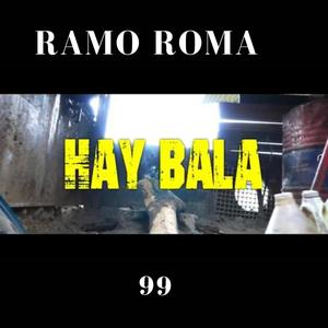 Hay Bala