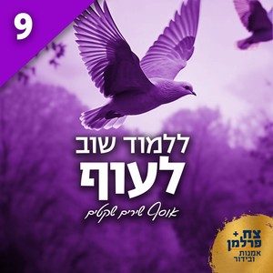 ללמוד שוב לעוף 9