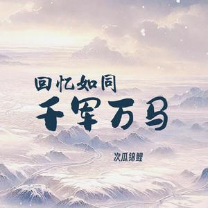 回忆如同千军万马 (DJ细霖版)