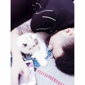 从你的全世界里路过