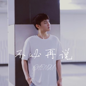 不必再说