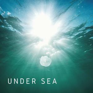 UNDER SEA