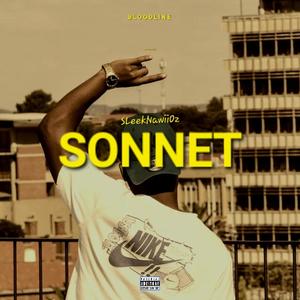 Sonnet (Explicit)