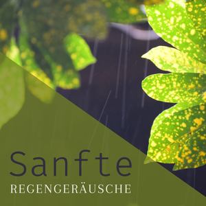 Sanfte Regengeräusche: Entspannungsmusik zum Einschlafen und Entspannen