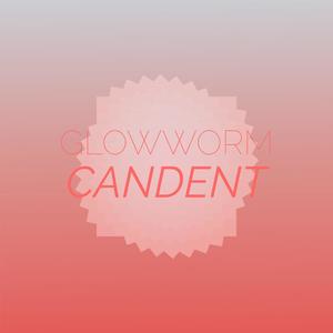 Glowworm Candent