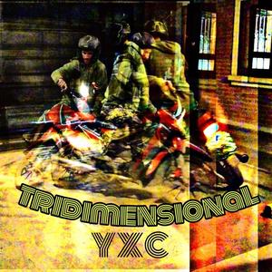 Tridimensional