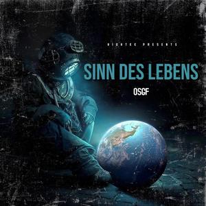 Der Sinn des Lebens (feat. OSGF)