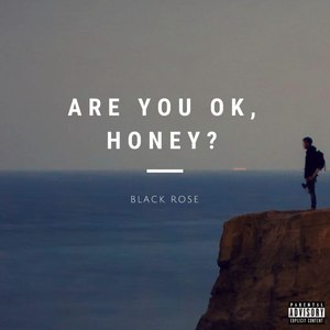 Are You Ok Honey (Dedicfted) (Explicit)