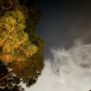 all of em (Explicit)