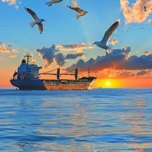 垃圾桶（钢琴曲）