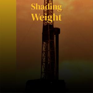 Shading Weight