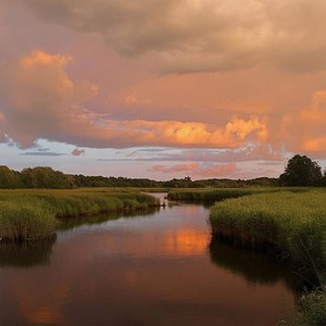 Where the River Hums