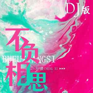 不负相思 (DJ版伴奏)