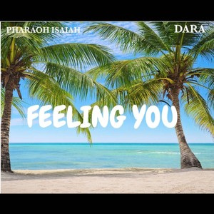 Feeling You (feat. Dara)