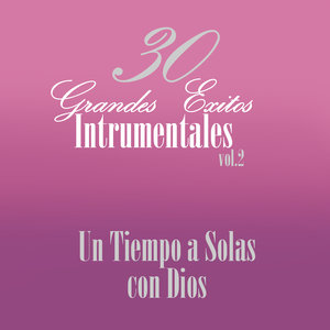 Treinta Grandes Exitos Instrumentales Vol 3 Buscando Tu Presencia