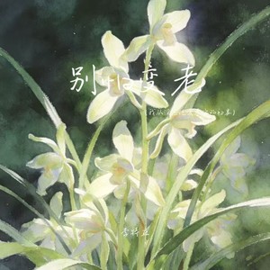 别怕变老（我从没忘记爱慕你的初衷）