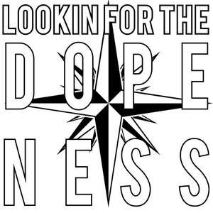 lookin for the panda(feat. DJ Pandamonium) (Remix|Explicit)