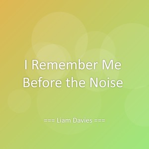 I Remember Me Before the Noise