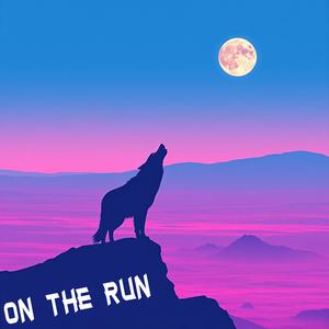 On The Run