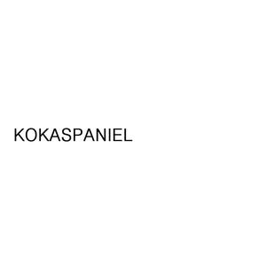 Koksapaniel