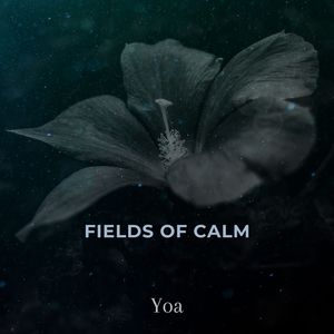 Fields of Calm