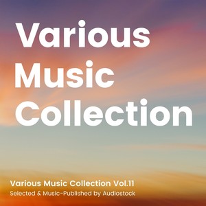 Various Music Collection Vol.11 -Selected & Music-Published by Audiostock-