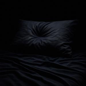 WHO IS THIS IN MY BED?