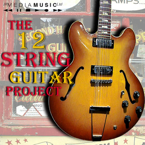 The 12-String Guitar Project