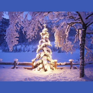 理想生生不息 (兰亭疾叙Remix)