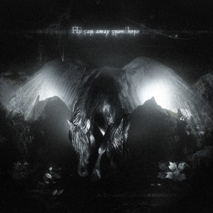 Fly far away from here