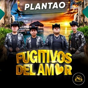 Plantao (Versión extendida)