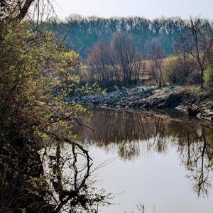 Pilgrim (feat. Bill Brooks)