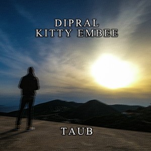 Taub (Explicit)