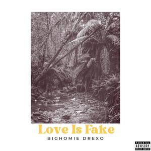 Love Is Fake (Explicit)