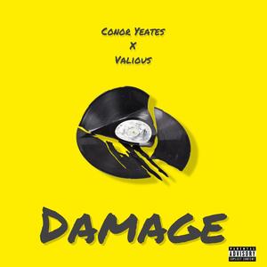 Damage (feat. Valious) (Explicit)