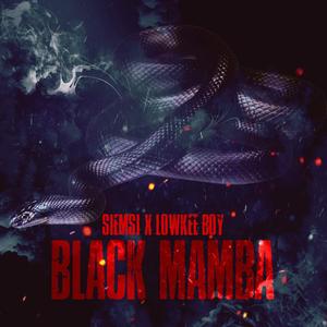 Black Mamba (feat. Lowkee Boy) (Explicit)