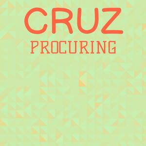 Cruz Procuring