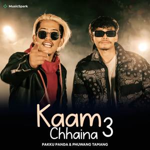 Kaam Chaina 3