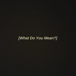 What Do You Mean? (feat. StinkyT & Gross) [Explicit]