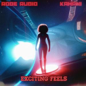 Exciting Feels (feat Anomalien) [Explicit]