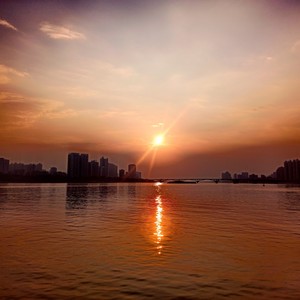 Shall We Talk-杨主任Revive