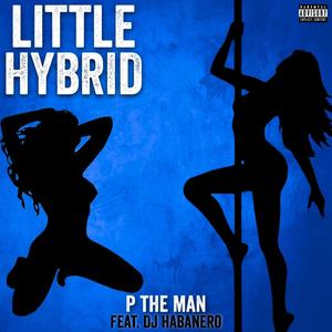 Little Hybrid (Explicit)